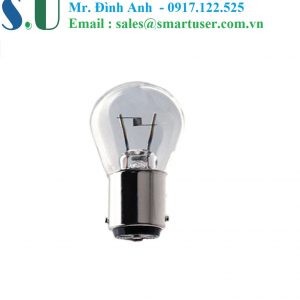 Bóng đèn Incandescent -SM-3800-18-2520