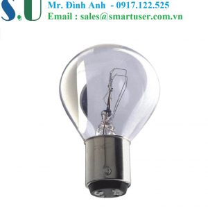 Bóng đèn Incandescent -SM-31-74-28
